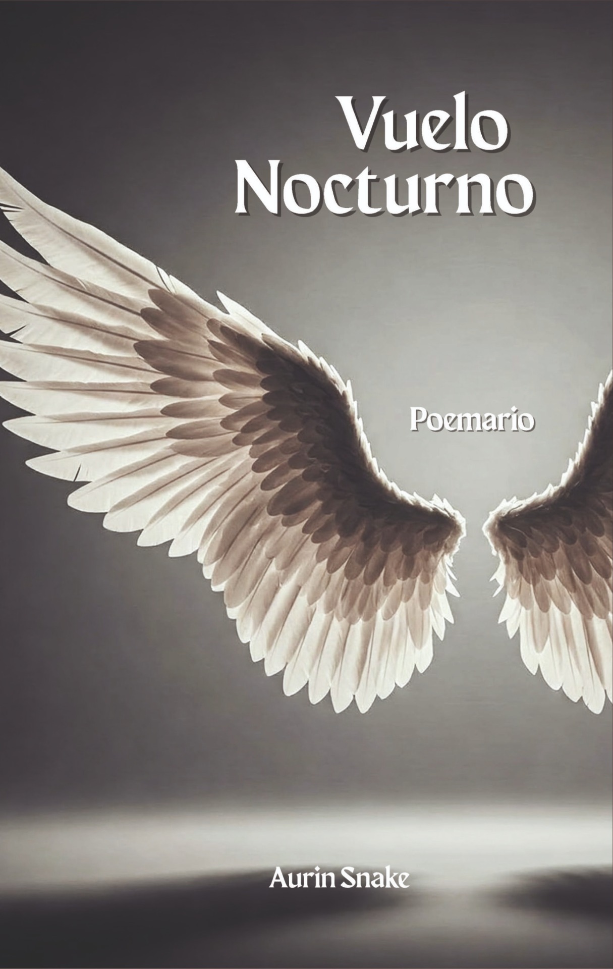 Vuelo Nocturno poemario